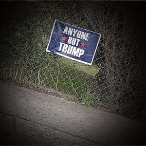 Meet your Posher, Lynitra